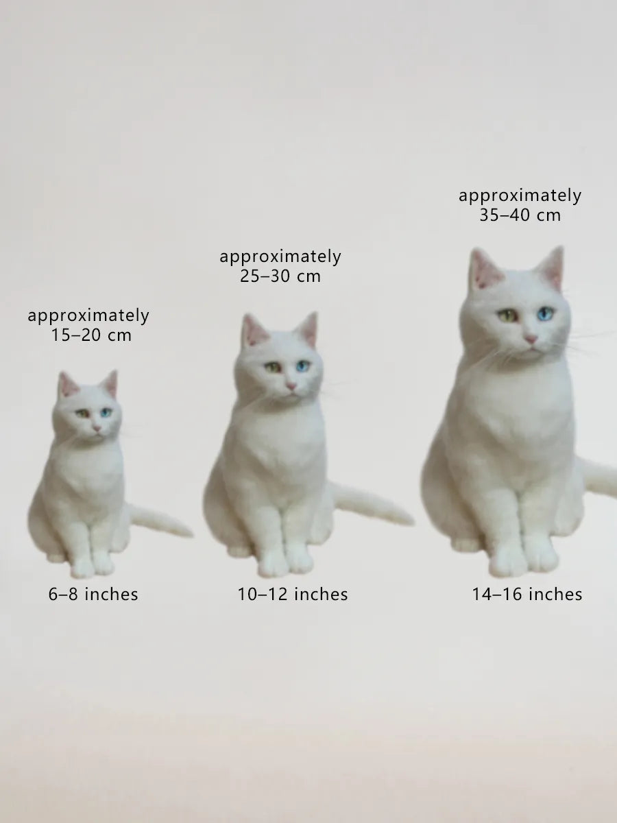 3D Custom Stuffed Animals From Picture - Lifelike Full Body Pet Portraits