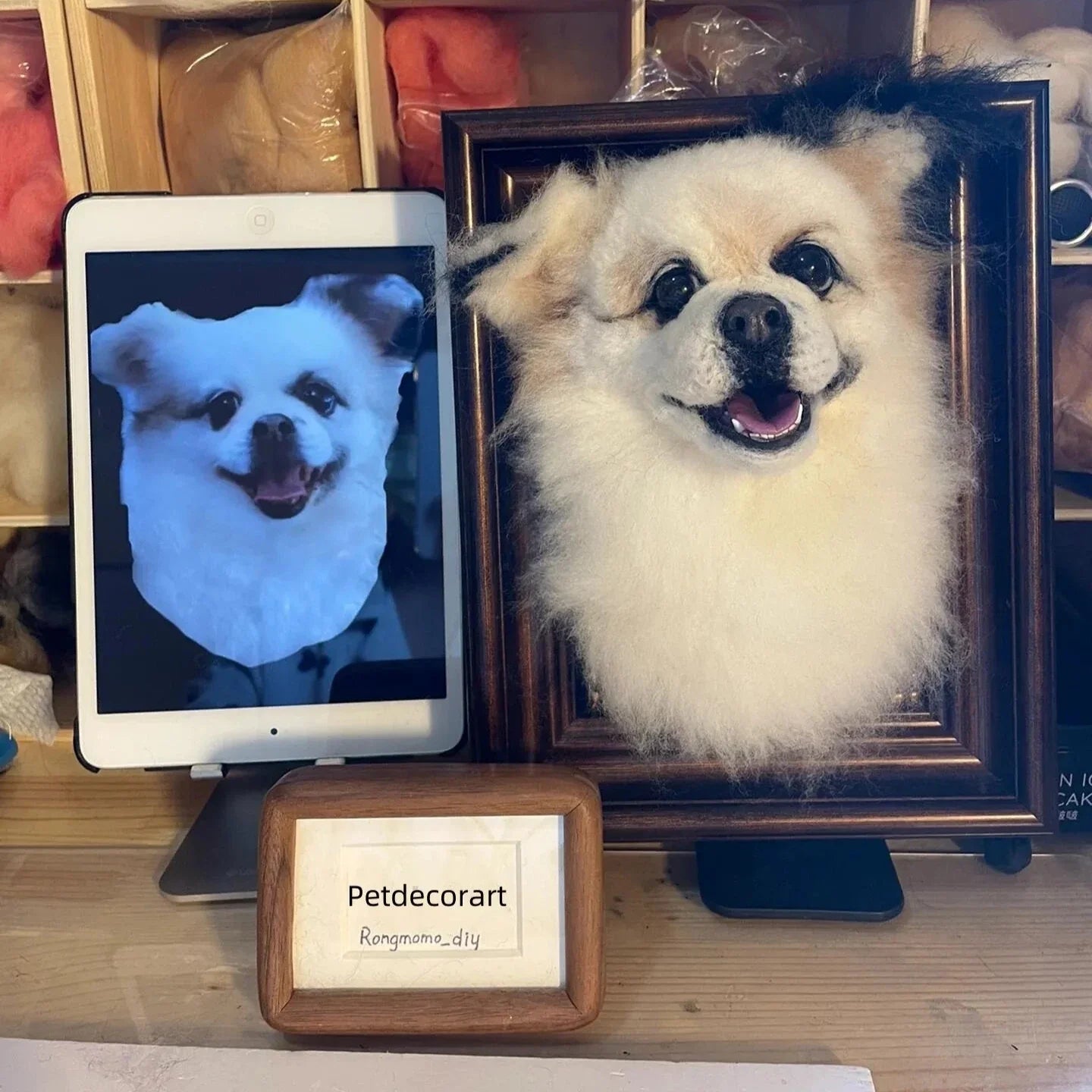 3D Custom Stuffed Animal Clones with Wooden Frame