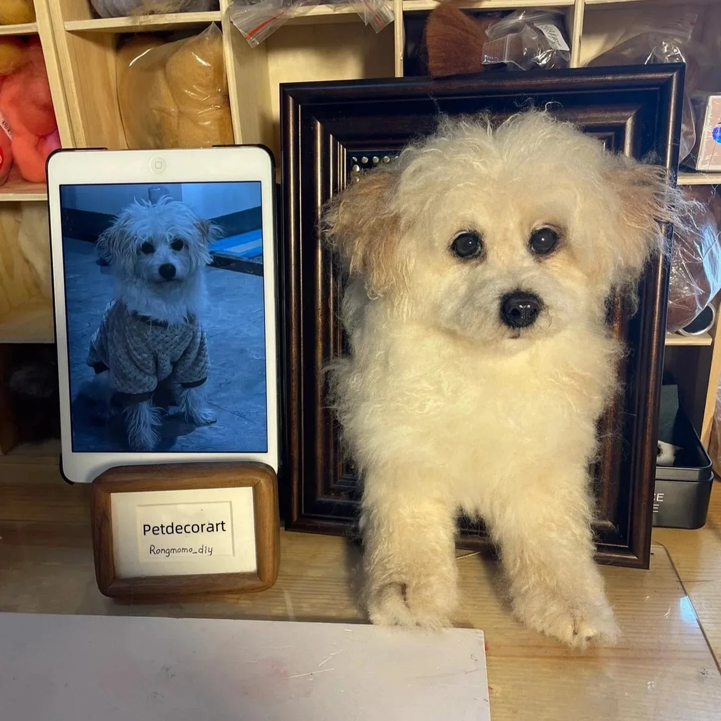 3D Custom Stuffed Animal Clones with Wooden Frame