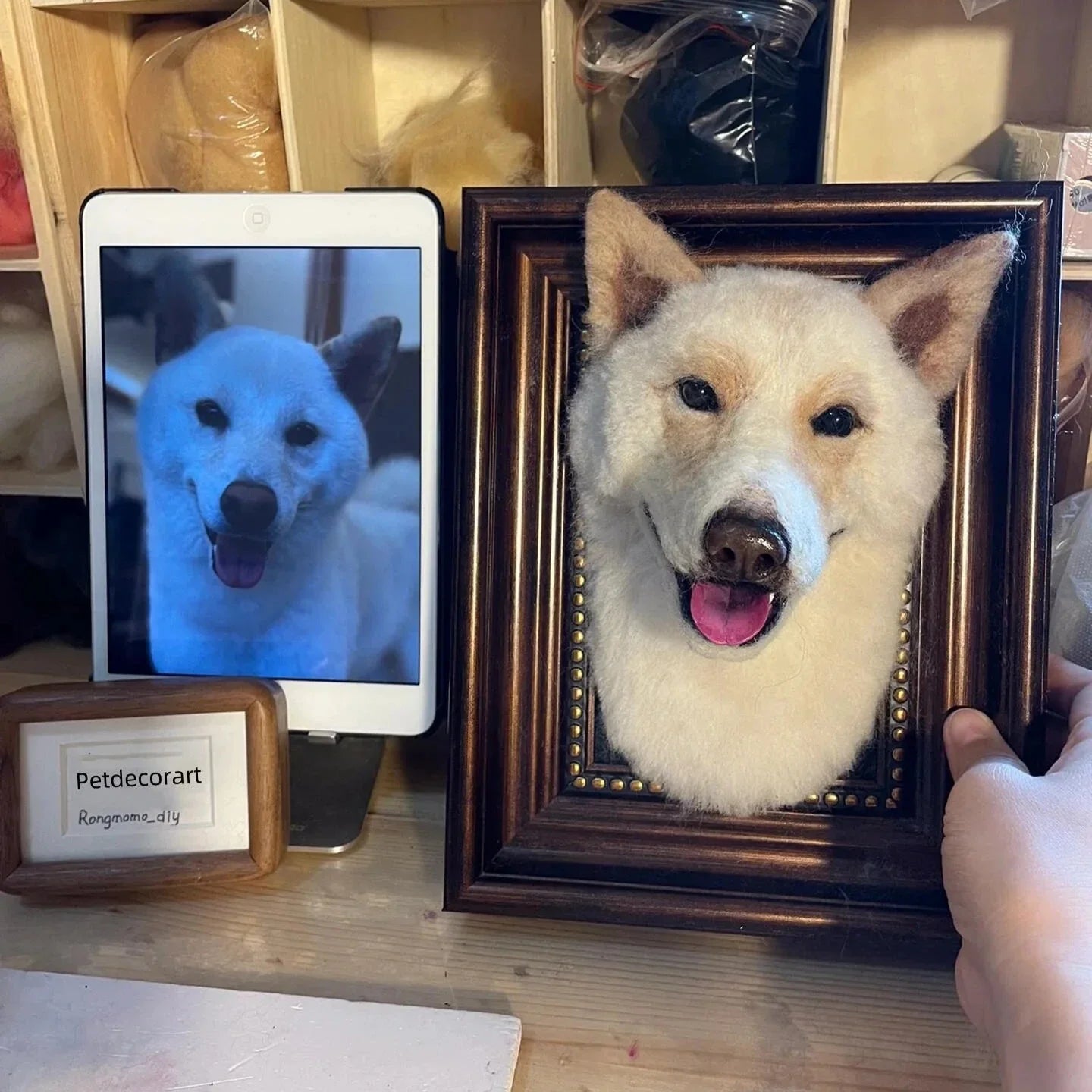 3D Custom Stuffed Animal Clones with Wooden Frame