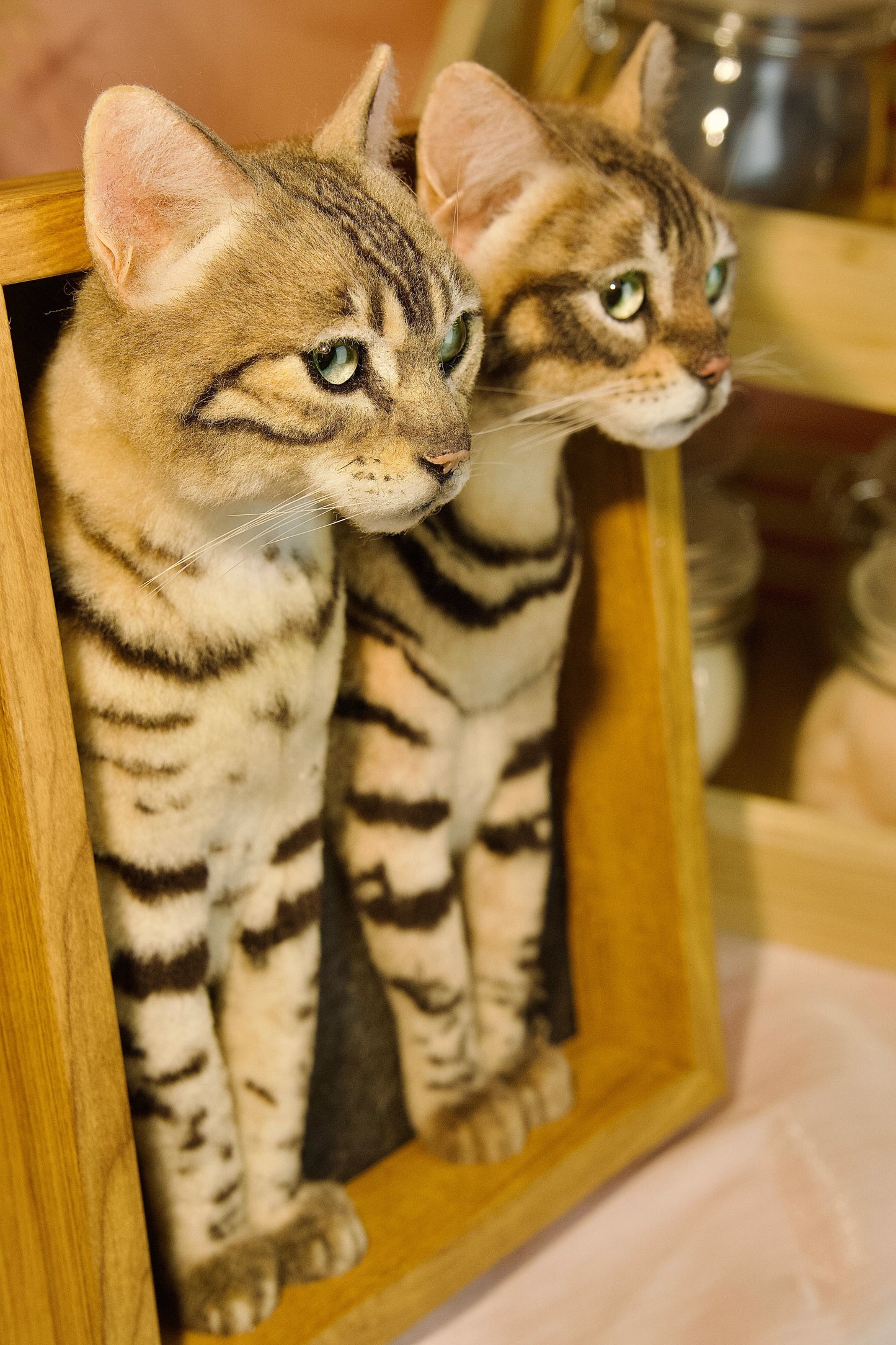 3D Custom Stuffed Animal Clones with Wooden Frame