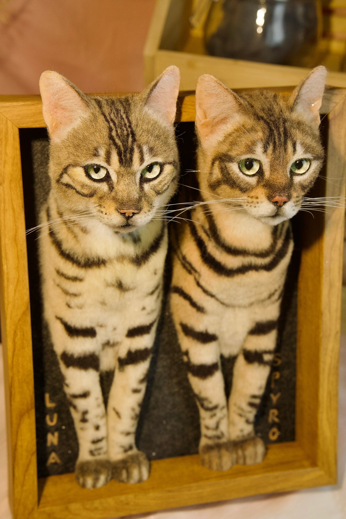 3D Custom Stuffed Animal Clones with Wooden Frame