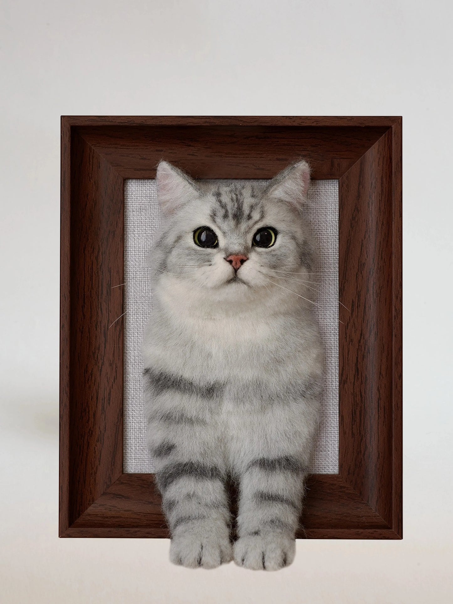 3D Custom Stuffed Animal Clones with Wooden Frame